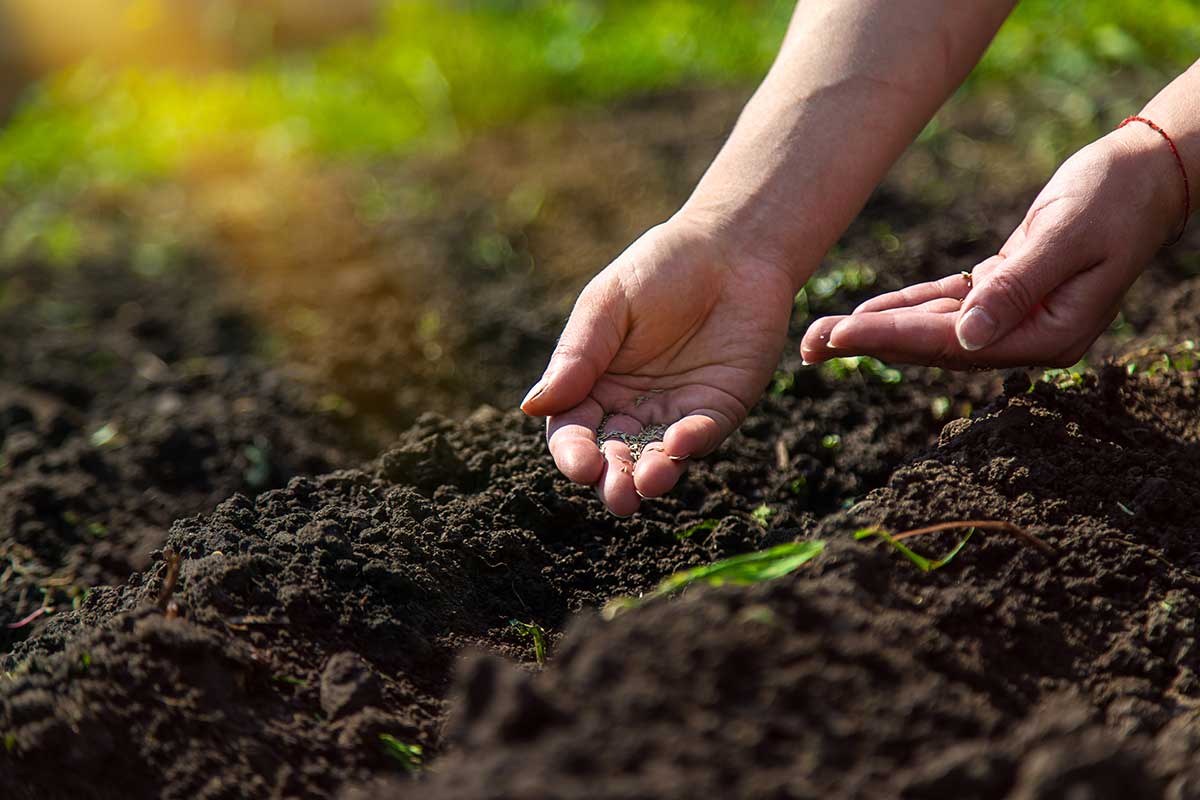 Březnová péče o zahradu